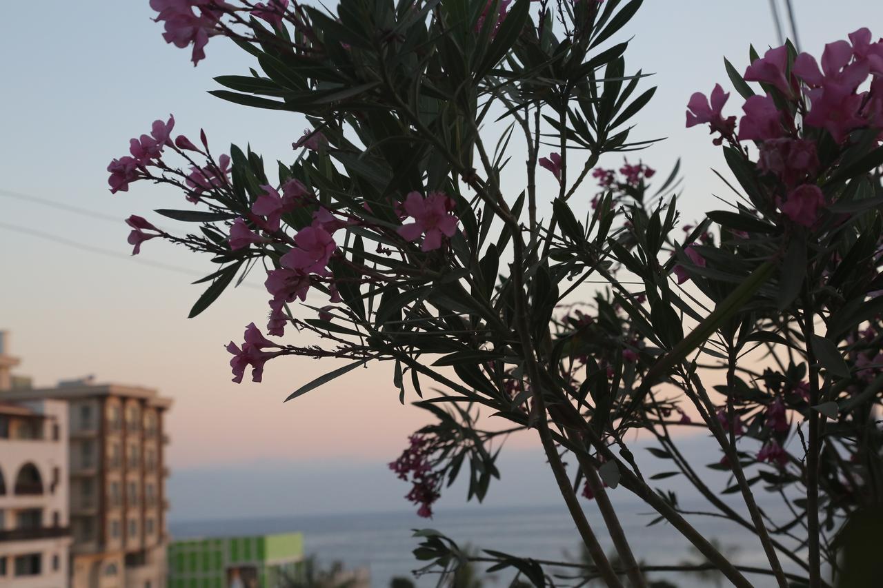 Kasgar Court Hotel Agia Varvara Екстер'єр фото